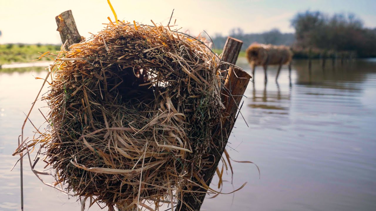 AMÉNAGEMENTS DE TERRITOIRES NIDS POUR CANARDS