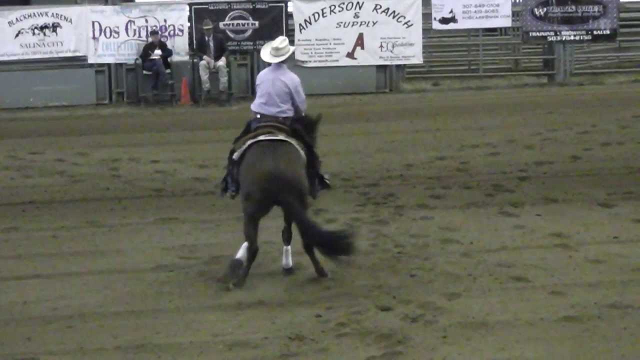 Aaron Blackhurst on Whiz in the gelding class June 14, 2013 Scored a 69 & tied for 3rd