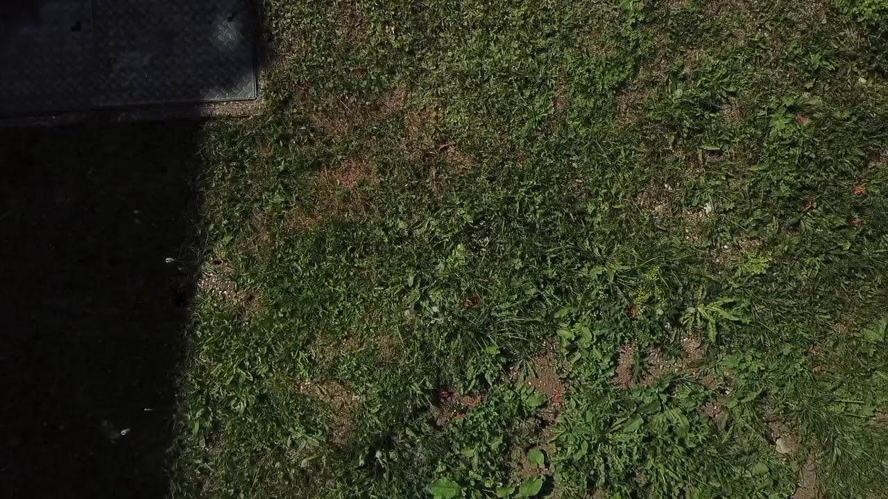Dji jura