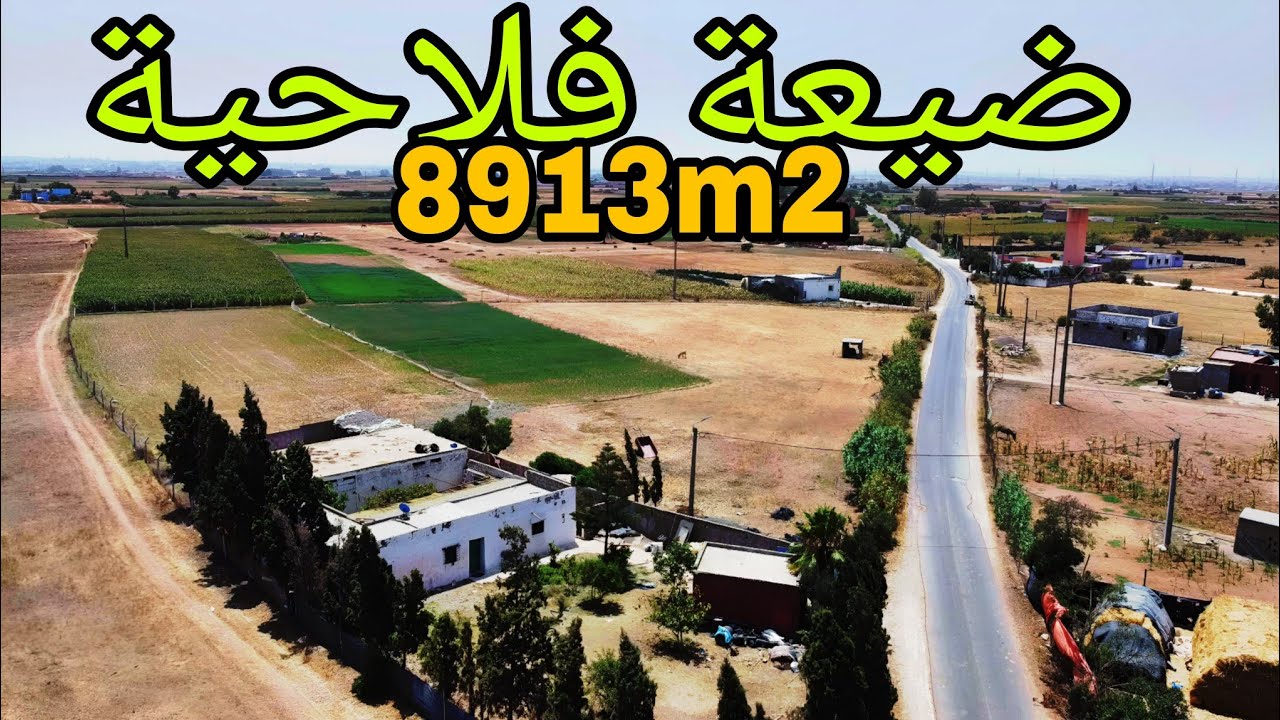 🏡ضيعة فلاحية🏡بإقليم الجديدة🤩8913m2