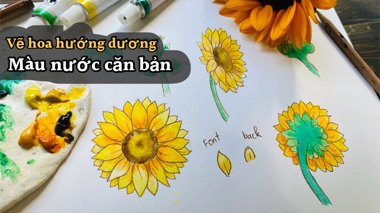 Vẽ hoa hướng dương bằng màu nước l hướng dẫn chi tiết l học vẽ căn bản.