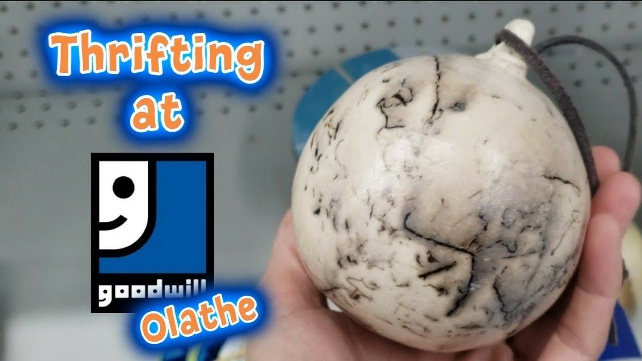 Crazy Cool Finds THRIFTING at GOODWILL!!