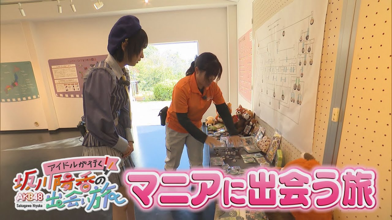 にじパレ  坂川陽香の出会い旅  ～マニアに出会う旅～