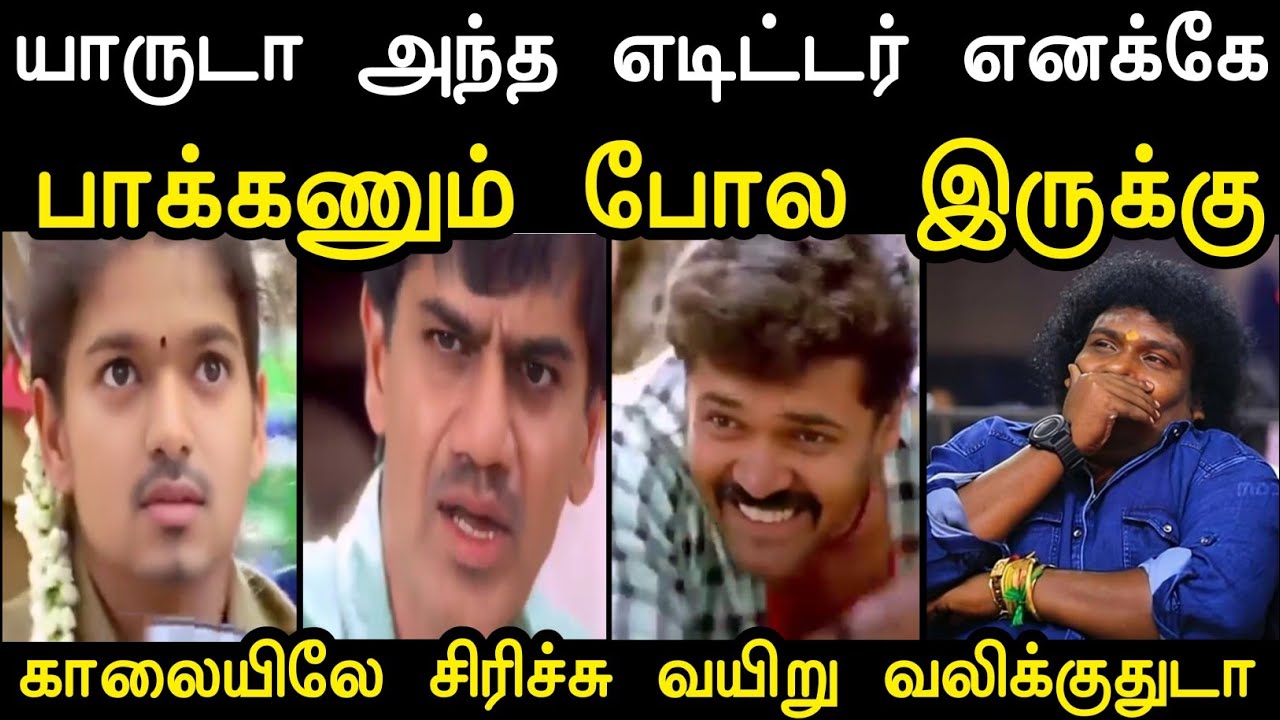 காலையிலே சிரிச்சு சிரிச்சு வயிறு வலிக்குதுடா  😂 | Ntk Saatai vs Tvk Vijay Troll | Saatai | Mr Palam