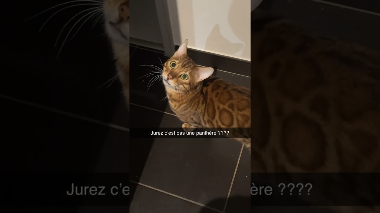 27 janvier 2026