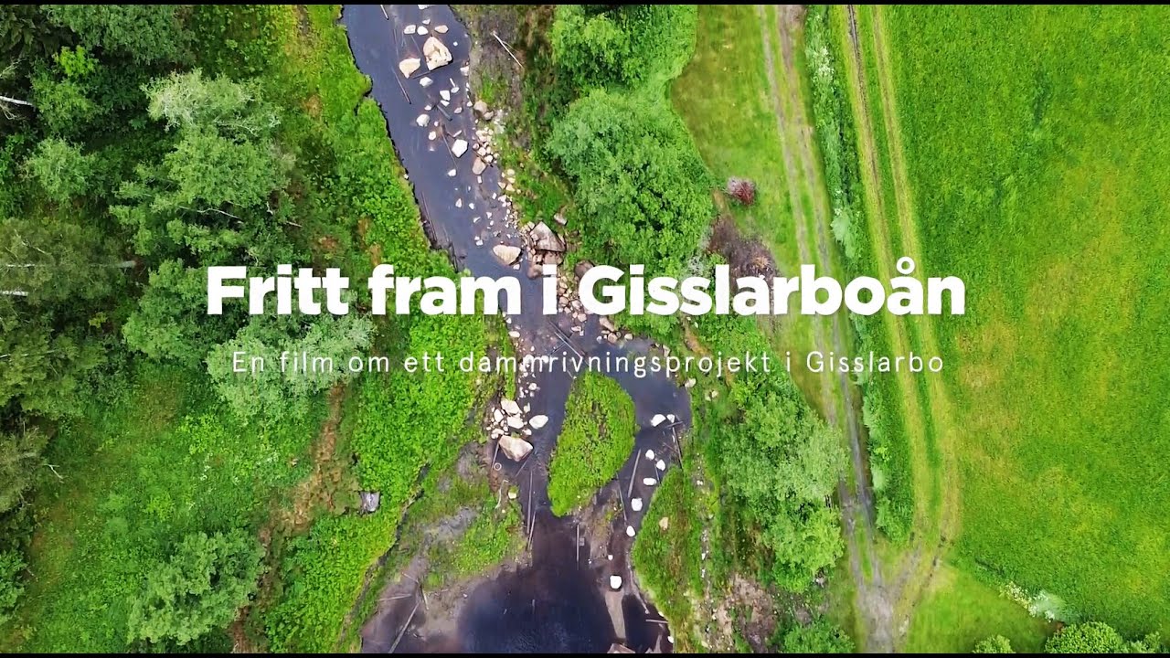 Fritt fram i Gisslarboån