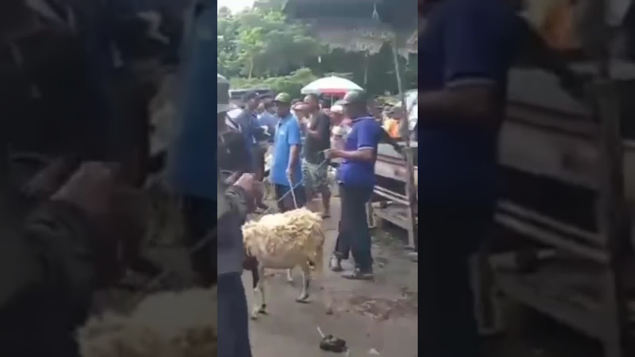 Ubdate Pasar Muntilan Mantap Perdana 