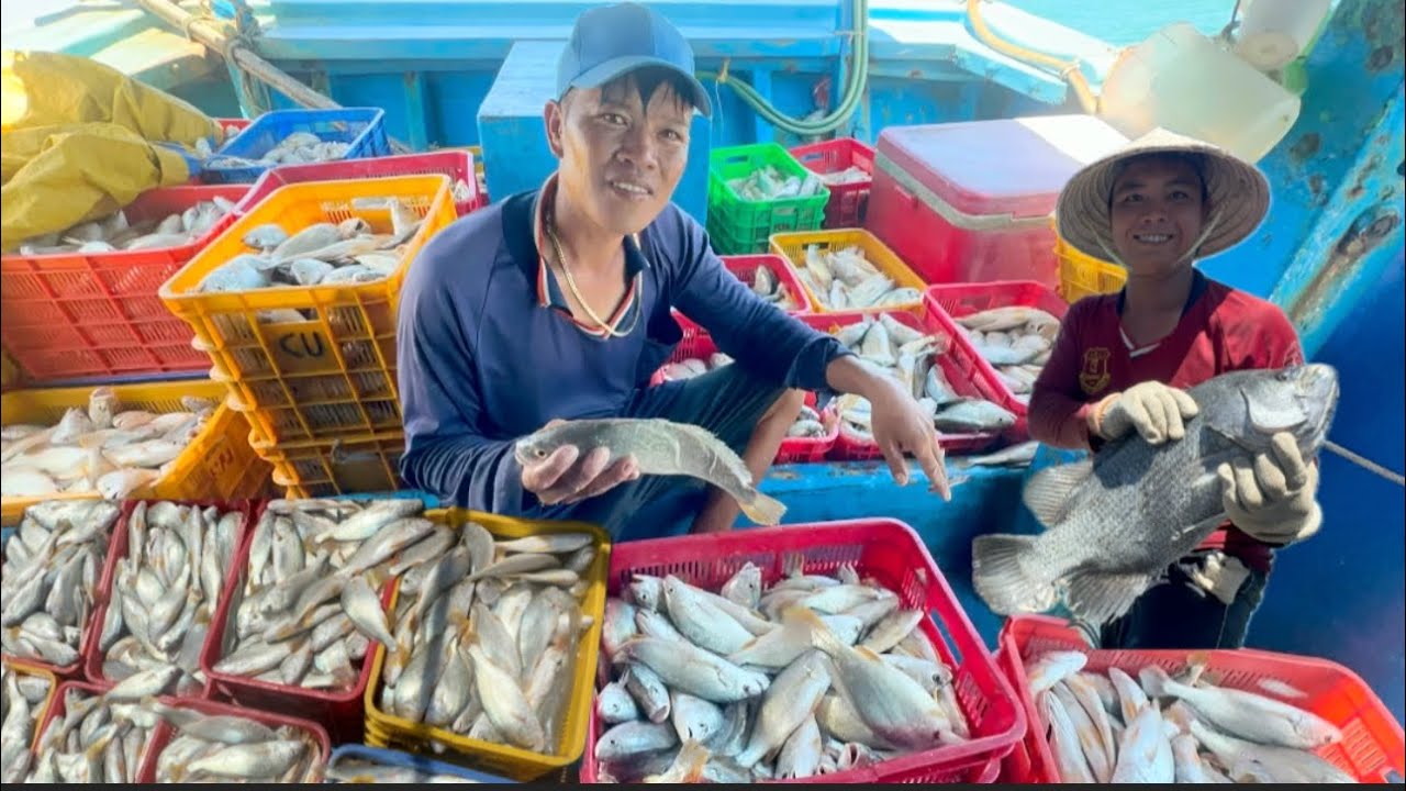 ĐI BIỂN NGHỀ LƯỚI NẬU PHƯỚC HẢI HỐT TRỌN Ổ HÀNG TẤN CÁ NGAO KHỦNG