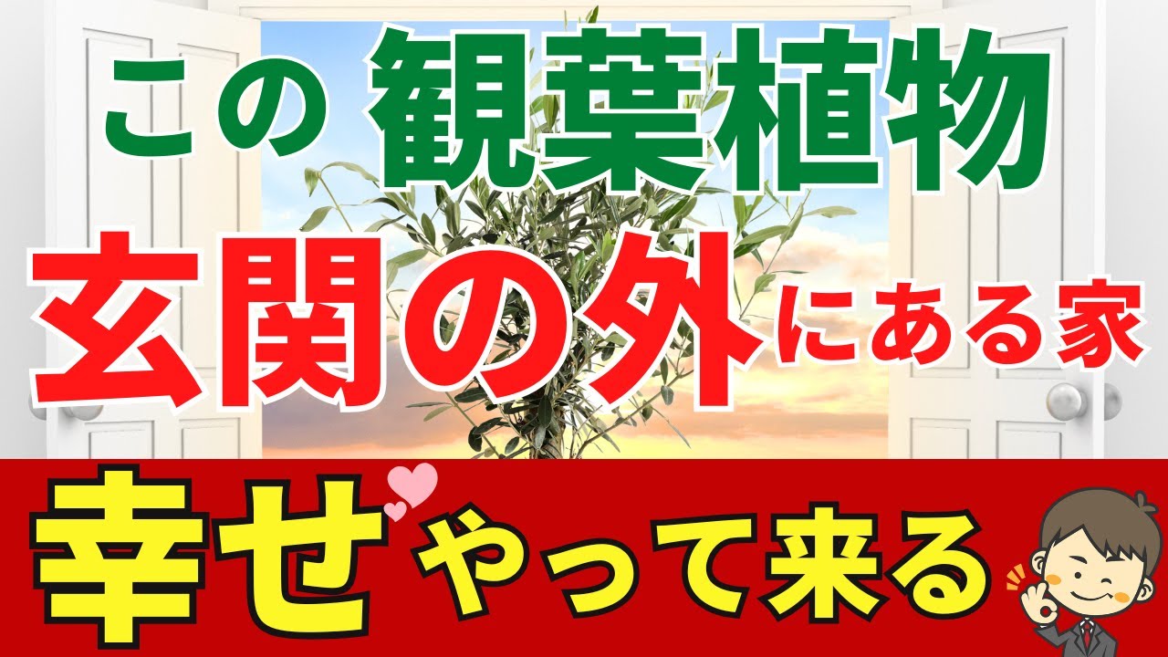 玄関の外やベランダに置くと幸せ運ぶ観葉植物ベスト10【風水アドバイザーが解説】