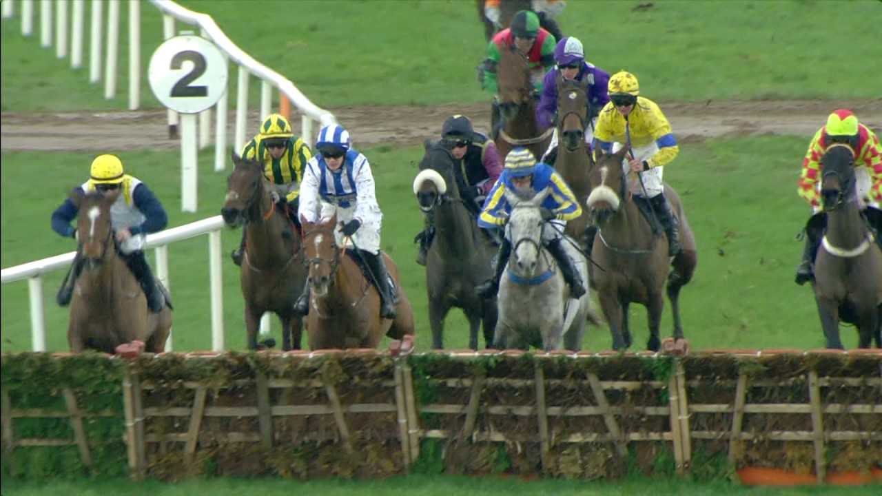 Racing Highlights from Down Royal - 31st January 2017