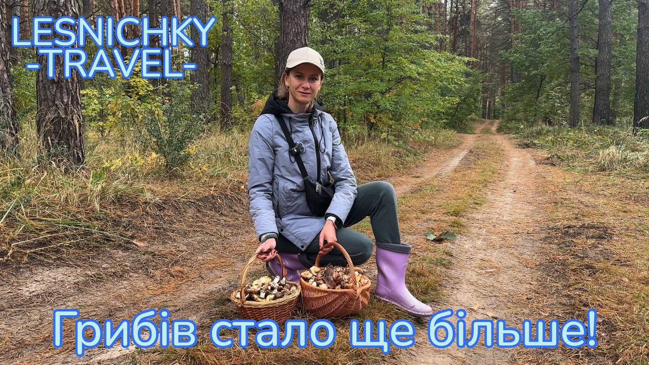 Грибів стало ще більше! 