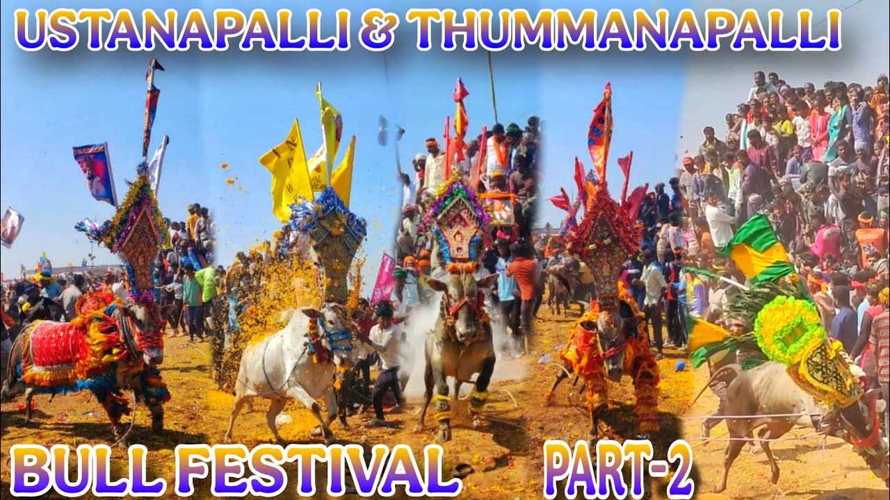 USTANAPALLI THUMMANAPALLI BIG BULL FESTIVAL IN 2K25 🔥💥 🔥#bull #athu #brs #shots #reels