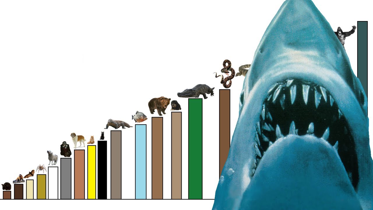 Niveles de poder de Animales As3sinos del cine de terror