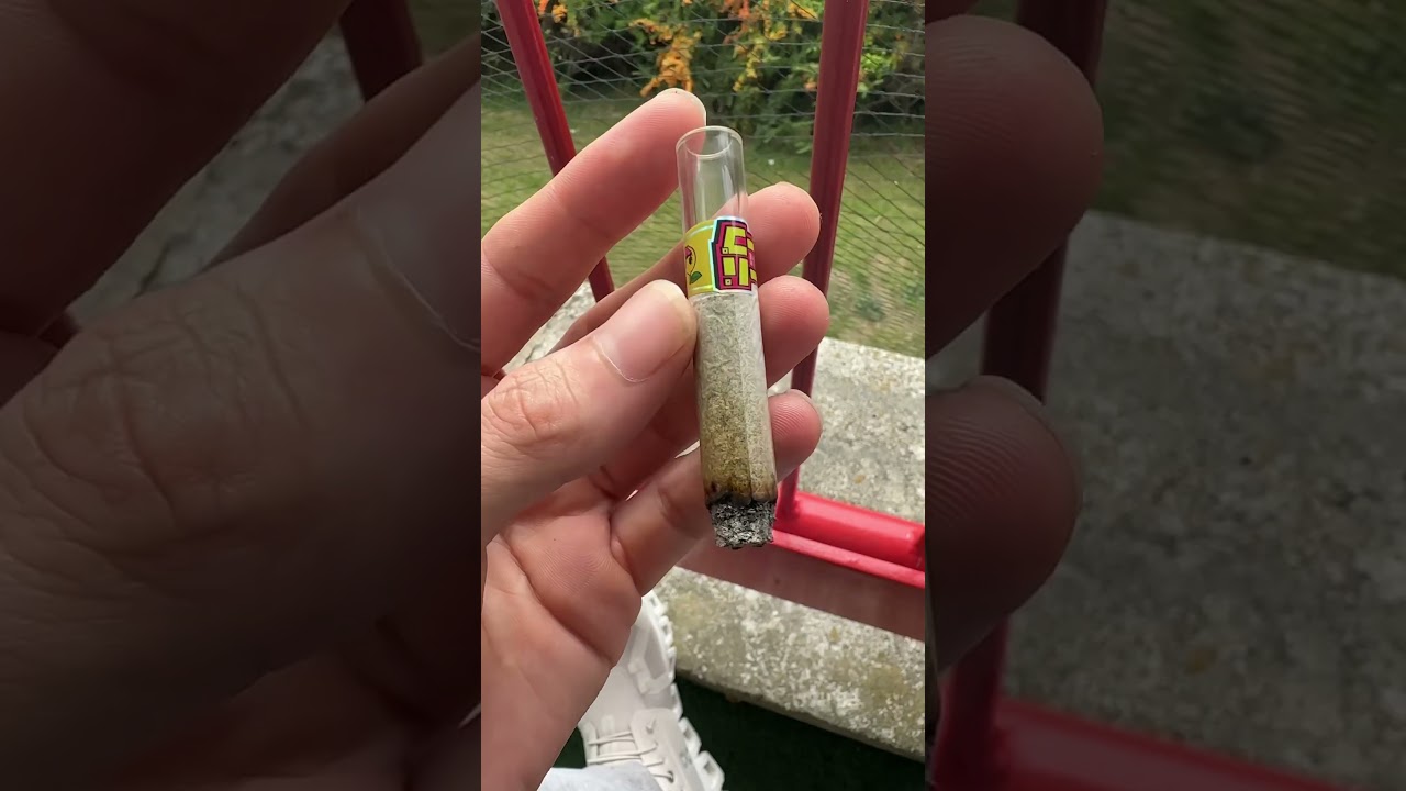 Superdope lemon poppers 🍋 #cannabiscommunity420 #cannabisuk #weedgotmefaded #dope #cannabisdaily