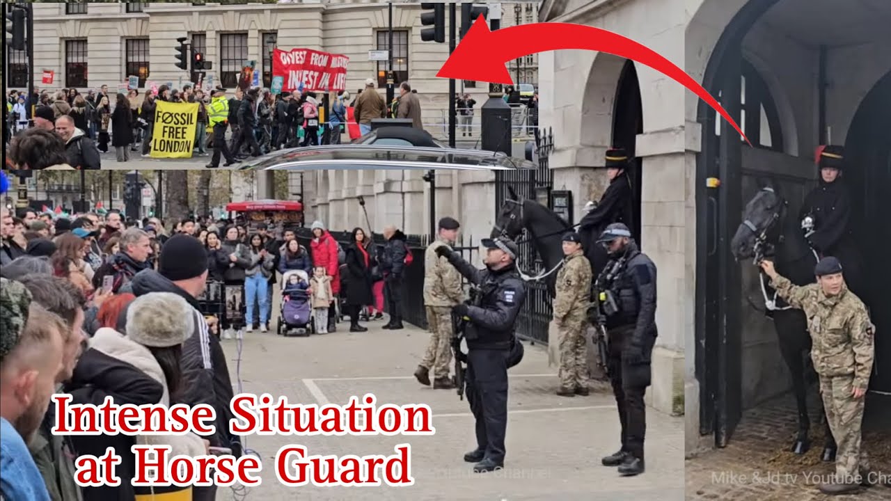 INTENSE SECURITY: Armed Police and Soldiers PROTECT  HORSE and GUARDS! Royal Guard, kings Guard.