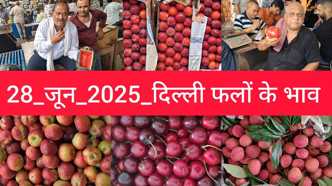 28 June 2025 दिल्ली फलों के भाव delhi mandi today fruit market price delhi fruit market #fruitmarket