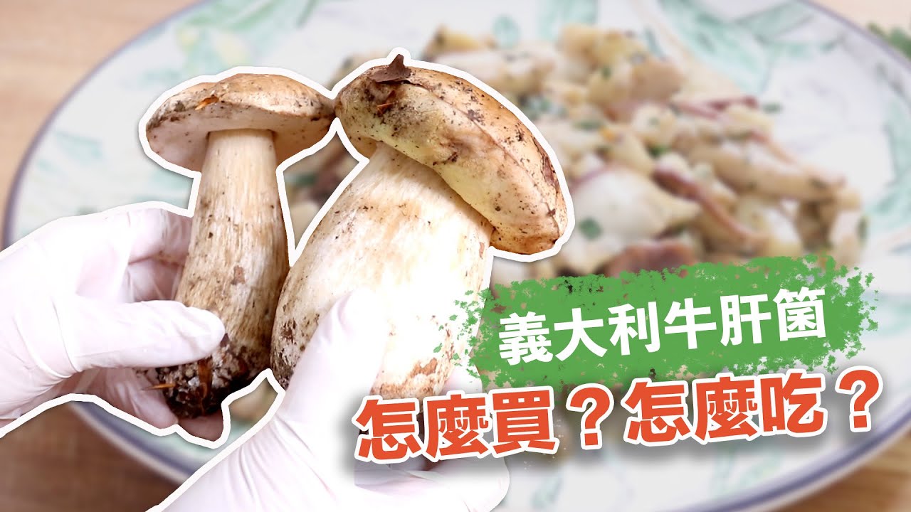 義大利牛肝箘 可遇不可求的秋日美味 Funghi Porcini Trifolati