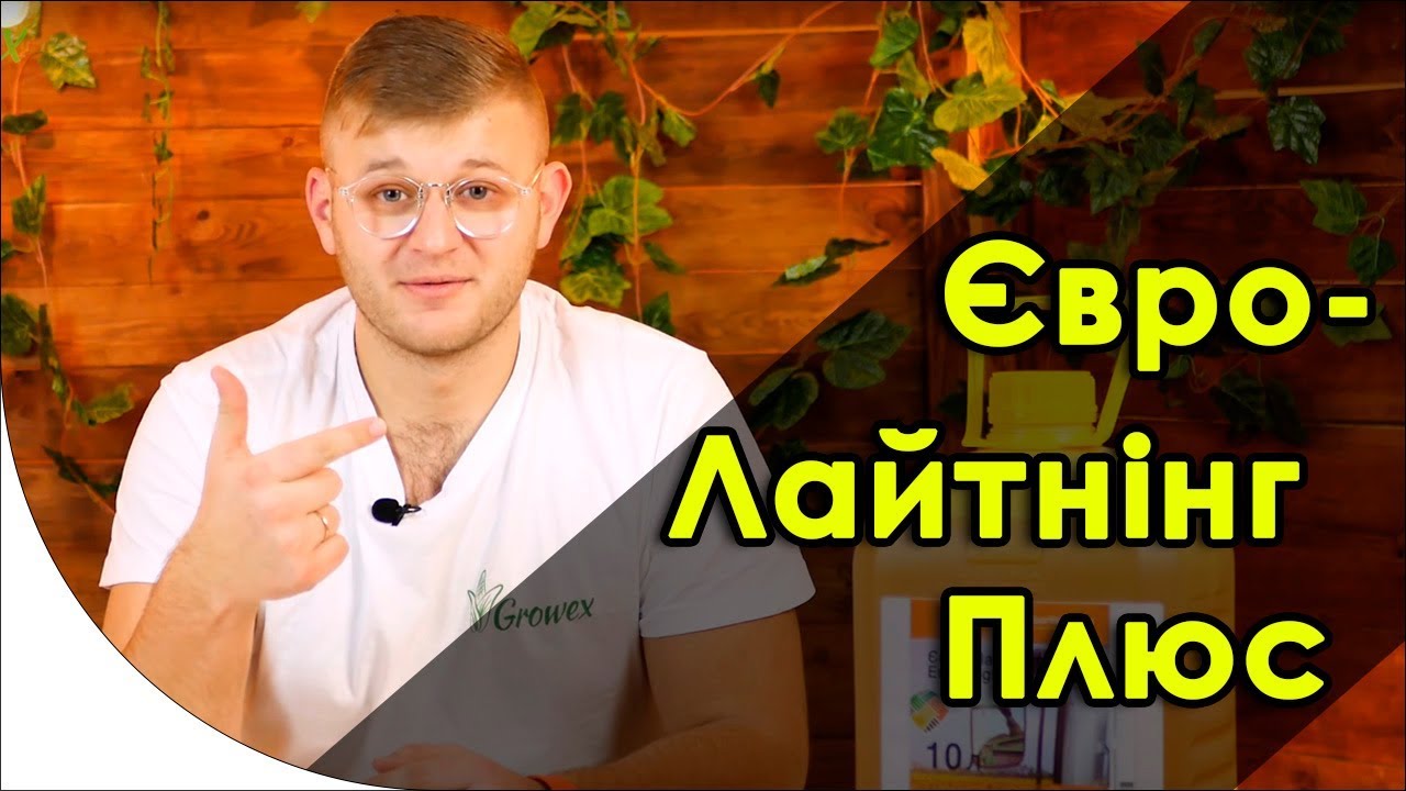 Евро-Лайтнинг Плюс