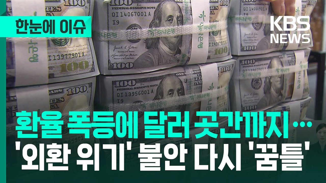 [한눈에 이슈] 환율 폭등에 달러 곳간까지&hellip;'외환 위기' 불안 다시 '꿈틀' / KBS 2026.01.14.