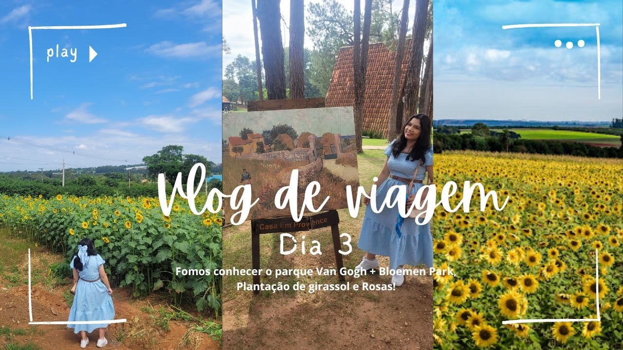 Vlog 3 Holambra- Passeio parque Van Gogh + Bloemen Park planta&ccedil;&atilde;o de girassol