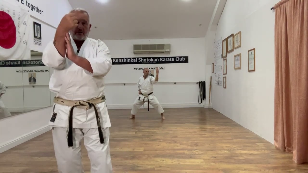 ENPI | EXPLAINED | MY ONLINE KARATE