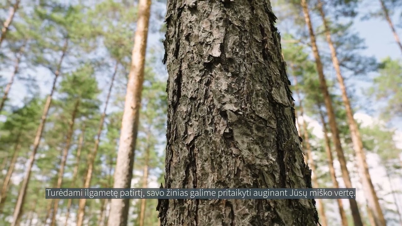 Jūsų mi&scaron;kas yra daugiau nei tik nuosavybė | PATA