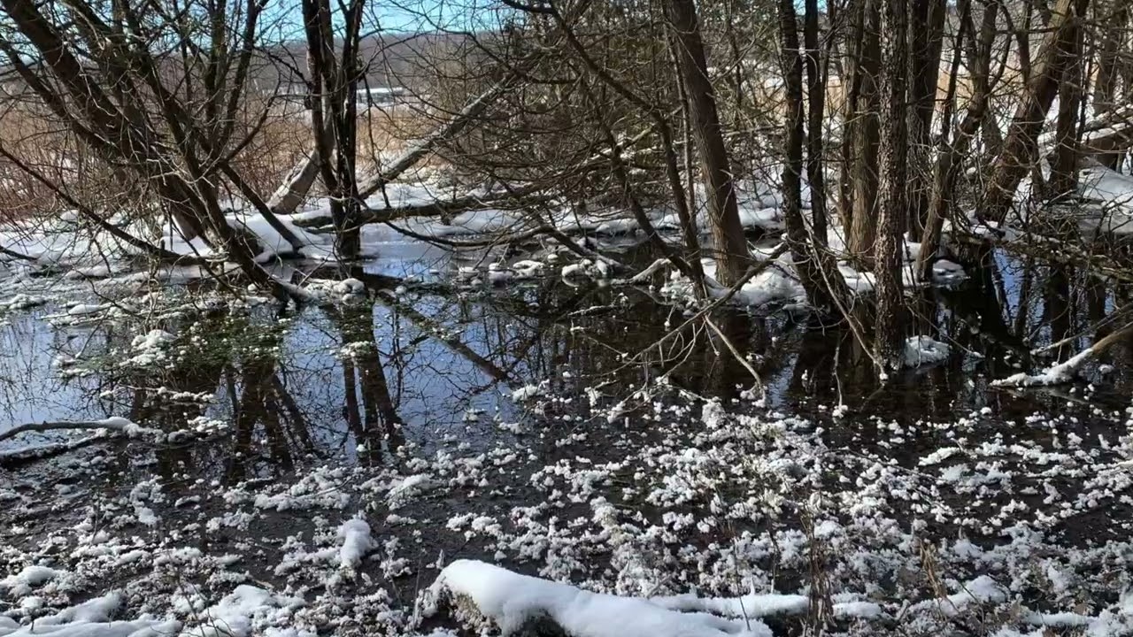 Winter in Central New York with Music to Chill #music #winter #nature
