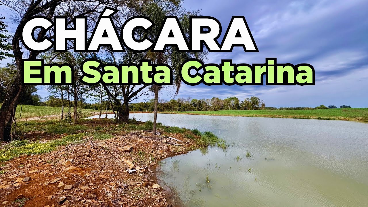CHÁCARA à VENDA em SANTA CATARINA com uma LAGOA frutas bosque e lavoura R$299mil