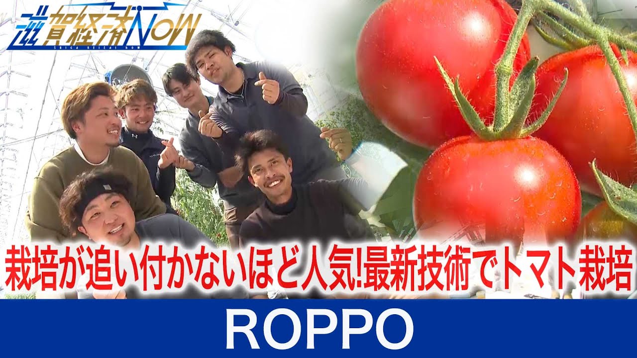 栽培が追い付かないほどの人気に!最新技術でトマトを栽培、若手男性6人の会社ROPPO（ロッポ）をご紹介！【滋賀経済NOW】2021年4月3日放送