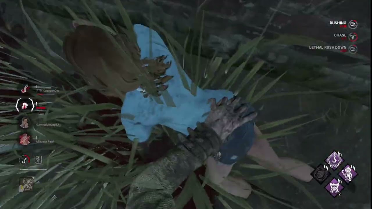 Highlight: Fun & Sillie Game on the Macmillian Estate! Chase Practice!