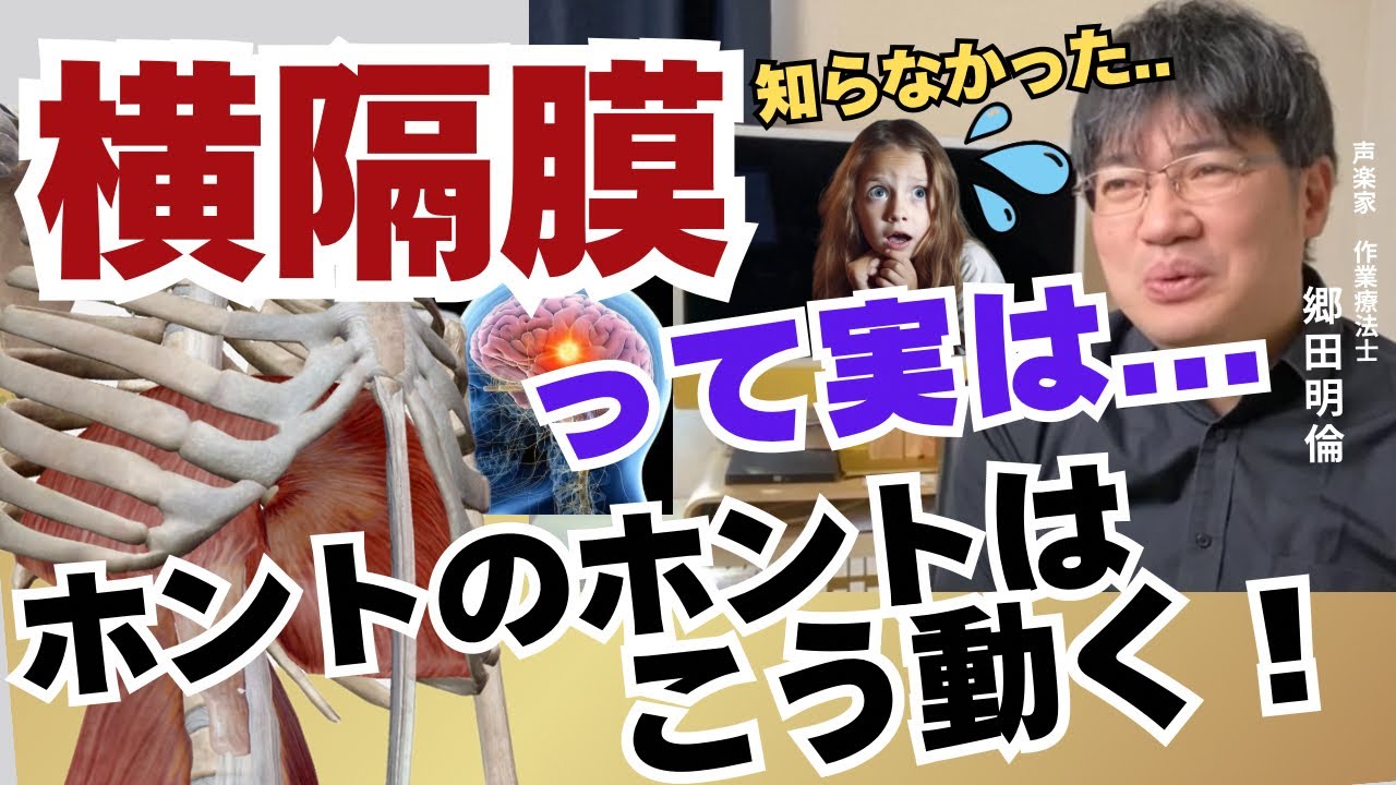 【歌、発声】知らなかった…横隔膜って実は、ホントはこう動く！