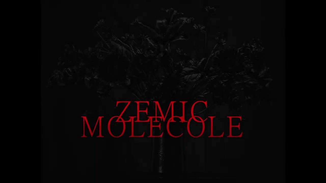 Zemic | Molecole