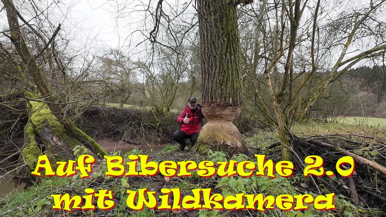 Auf Bibersuche 2.0 mit der Wildkamera GardePro A3S Trail Kamera im Gepäck