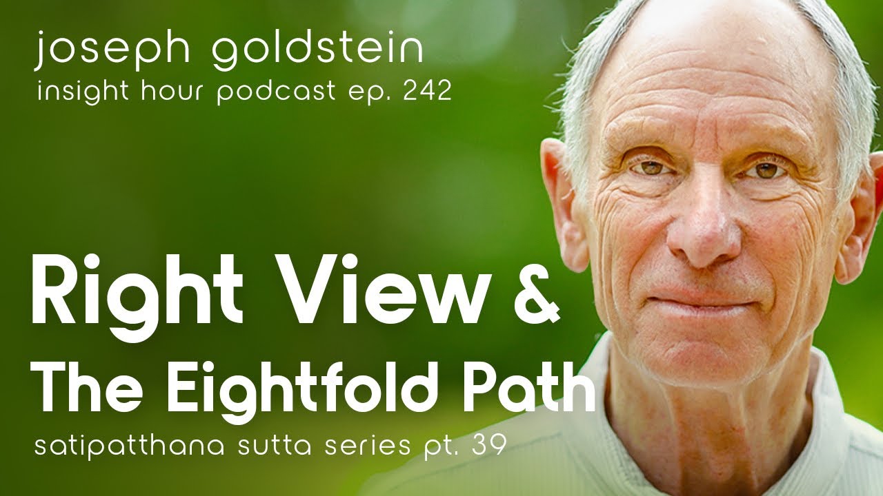 Joseph Goldstein: Right View & the Eightfold Path&ndash; Insight Hour Ep. 242 &ndash; Satipatthana Sutta Pt. 39