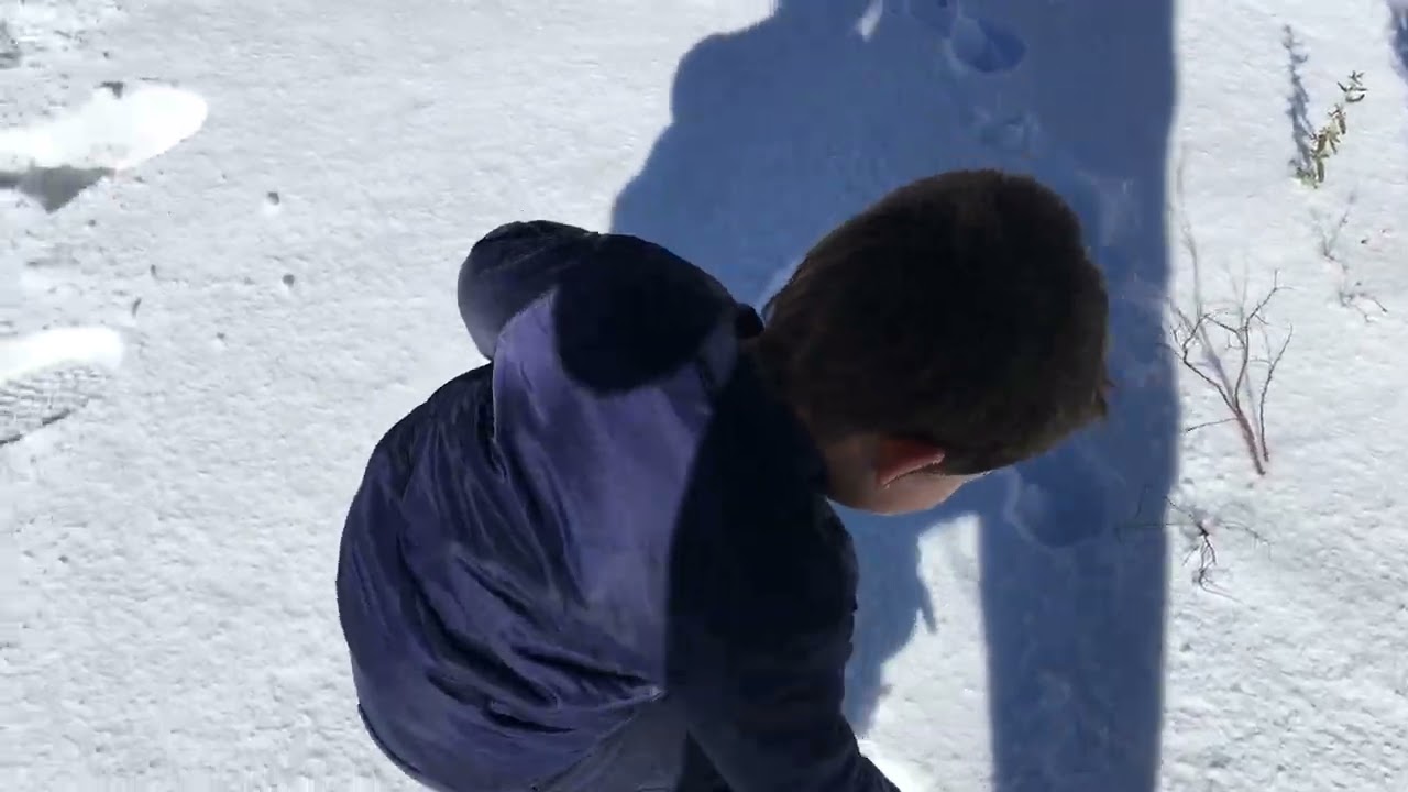 Trip to Canberra and the Snowy Mountains   late July & early August 2018 2
