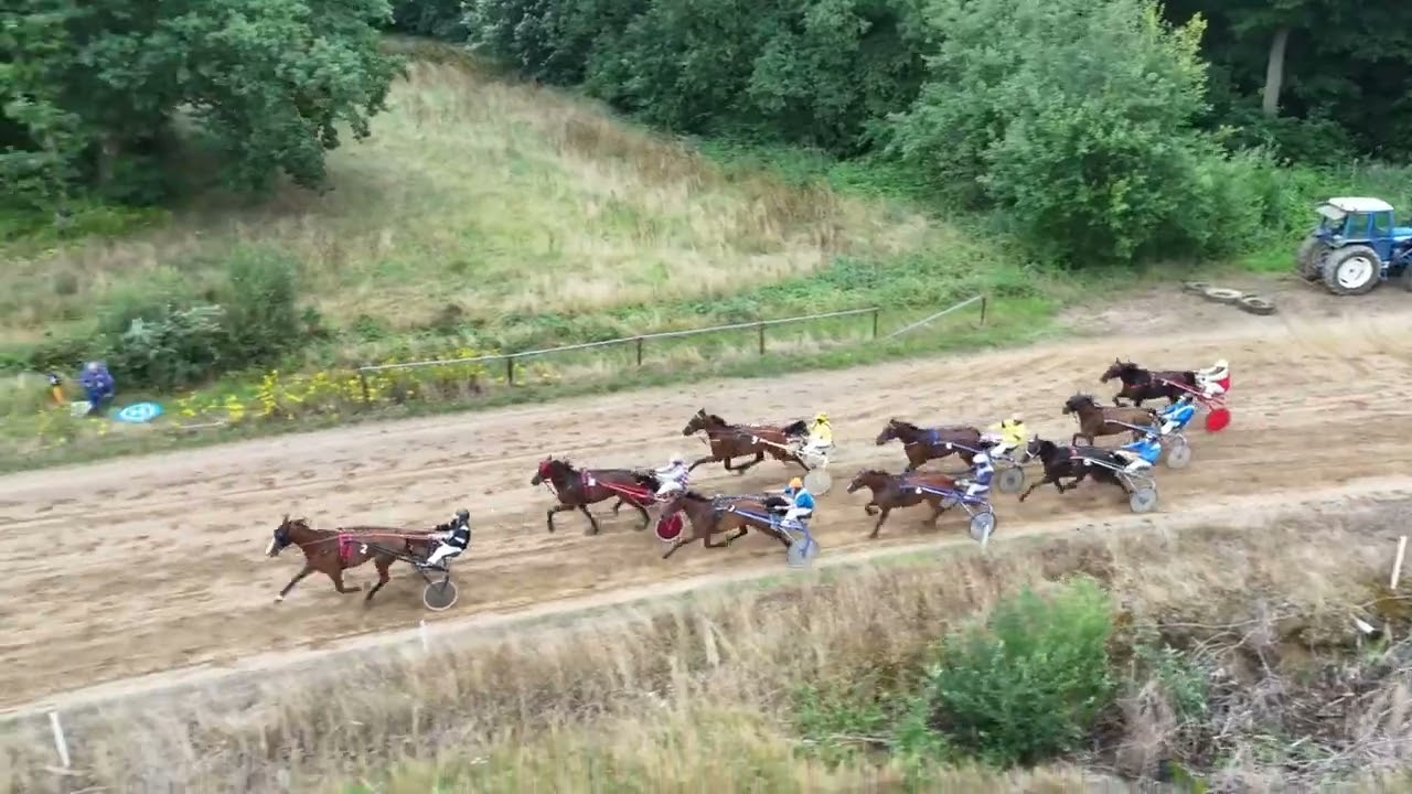 Landelijke draf en ponyclub  Tielt-Winge 27juli 2025(1) HORSE RACING