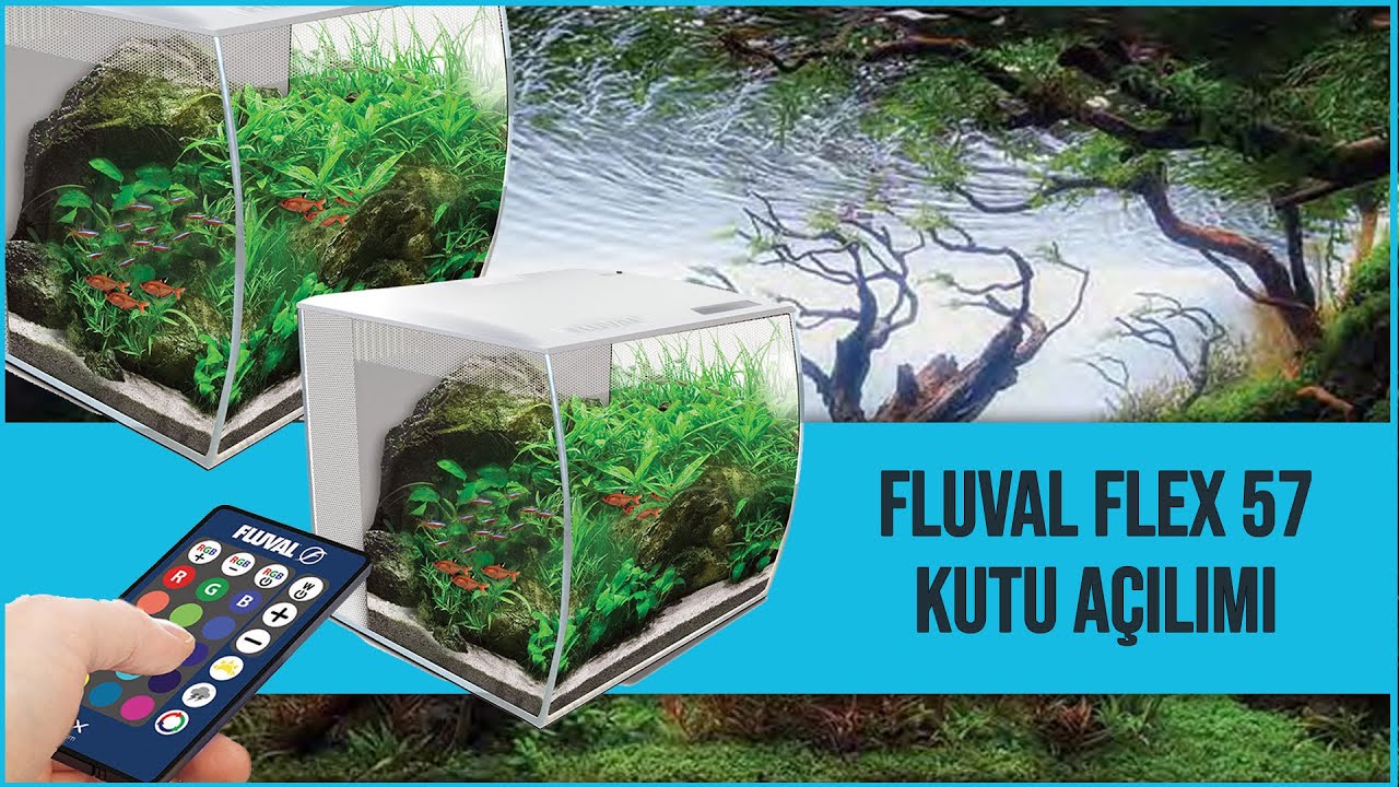 Fluval flex 57 litre Akvaryum Kutu Açılımı Ve Kurulum Part1