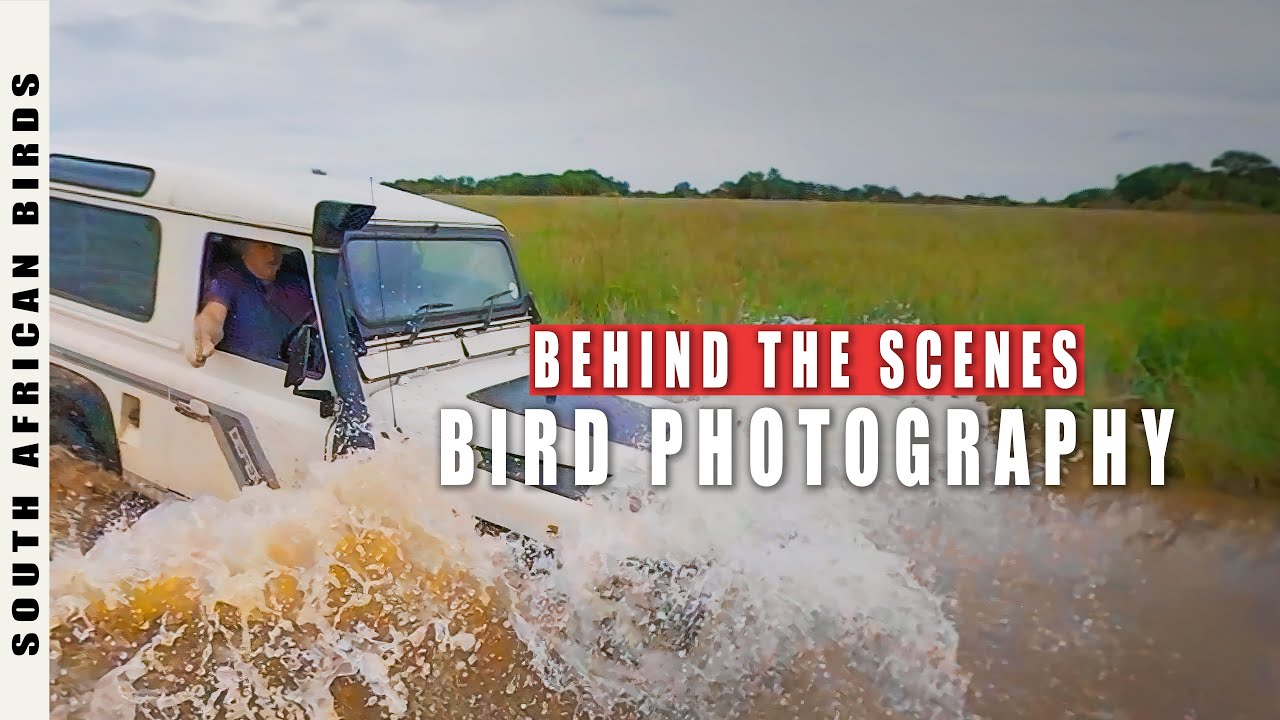 Bird Photography BTS | Wet Work in the Wilds of South Africa
