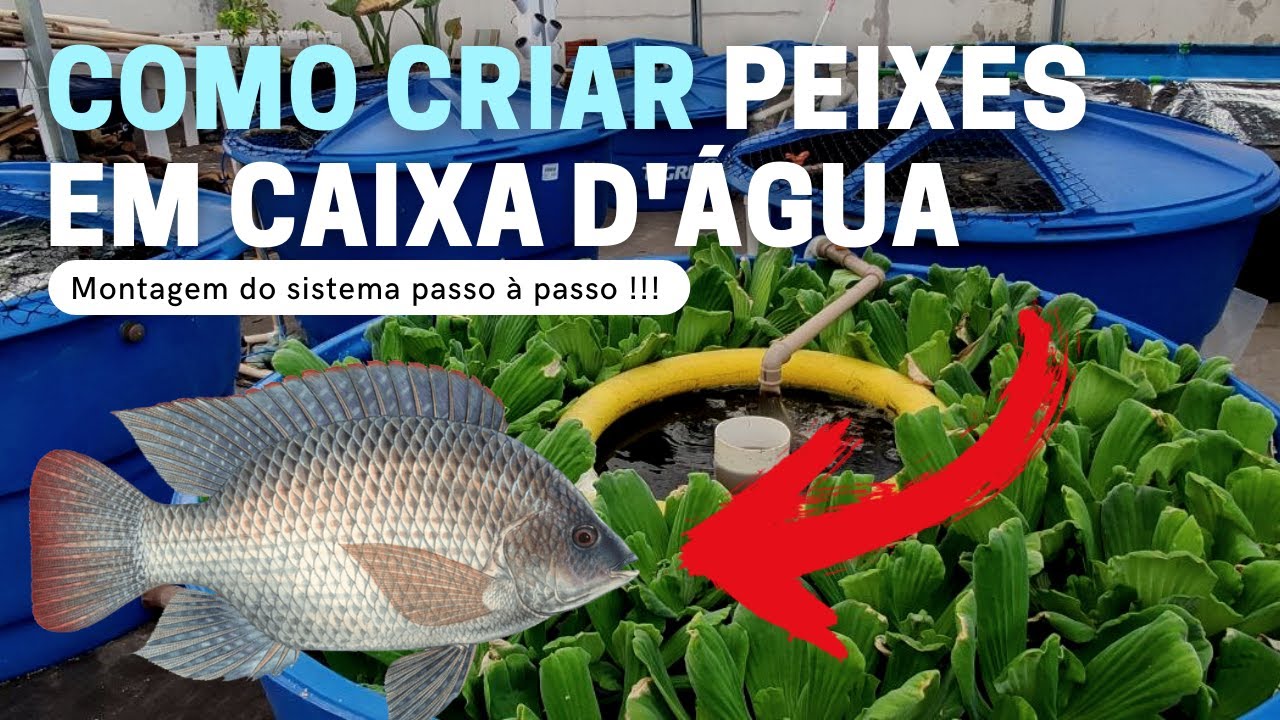 Como criar peixes em Caixa D'&aacute;gua - Montando o Sistema COMPLETO (Aula 1)