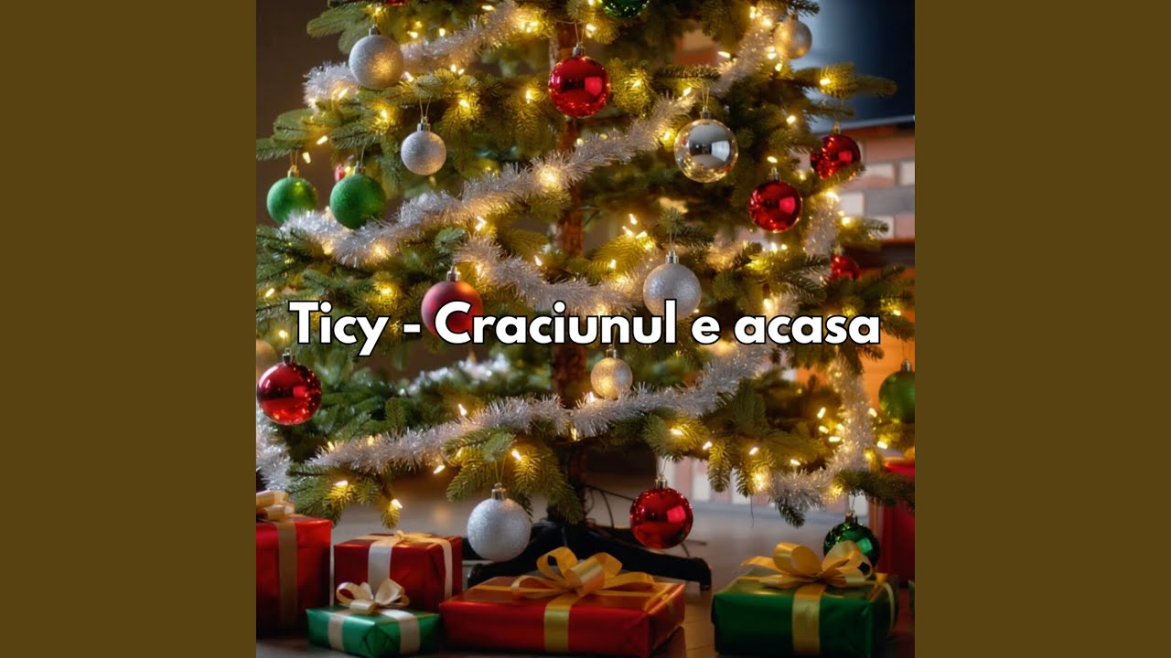 Craciunul e acasa