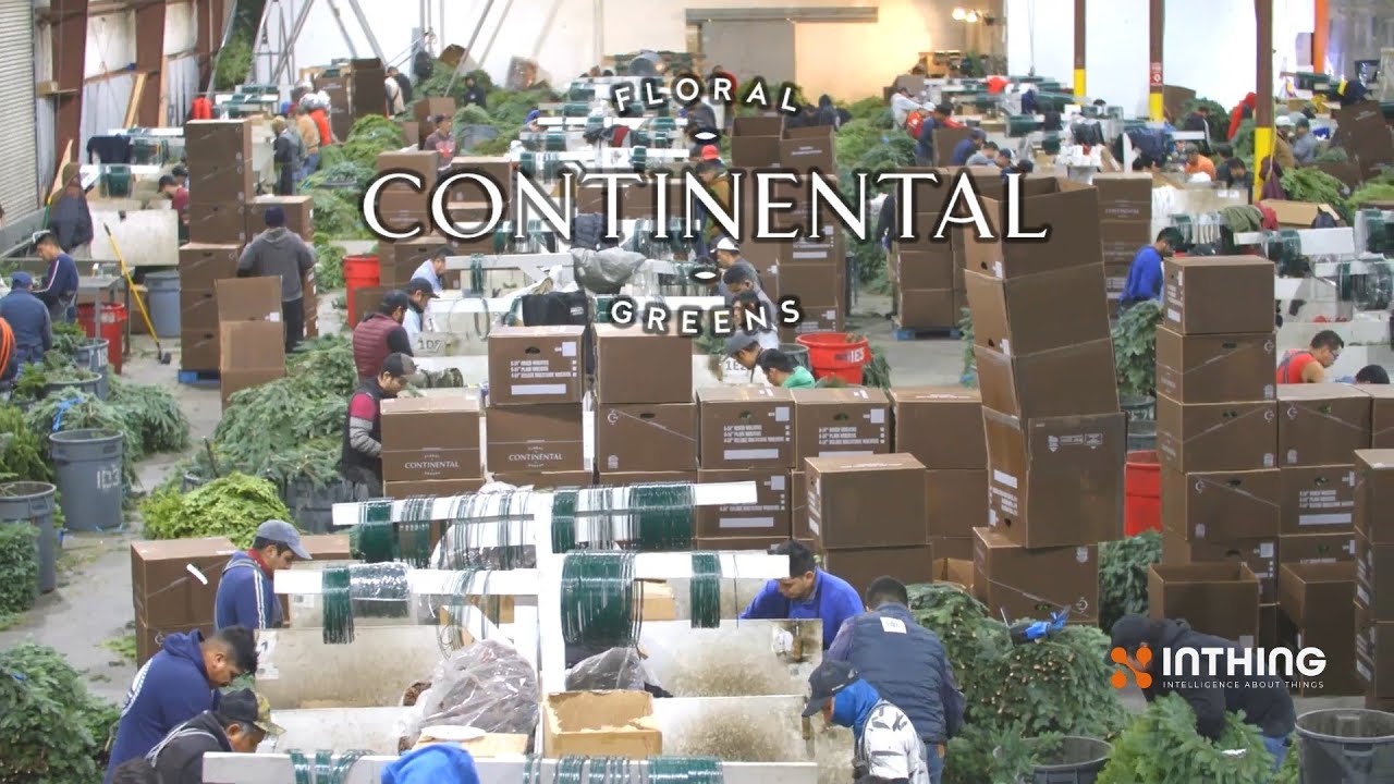 Continental Floral Greens