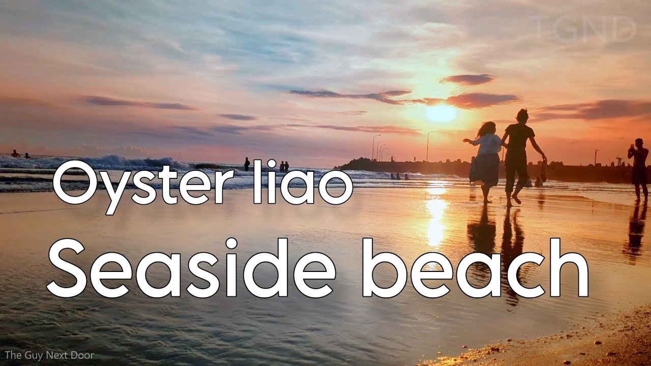 Relaxing Seaside Beach Sounds | ASMR |Oyster Liao Seaside Beach | Ziguan District Kaohsiung City