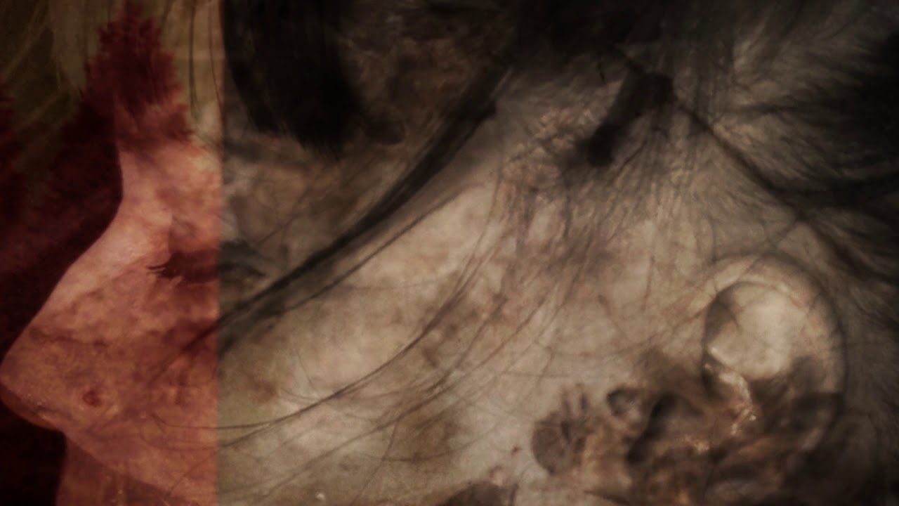 Hilary Woods - Orange Tree (Official Music Video)