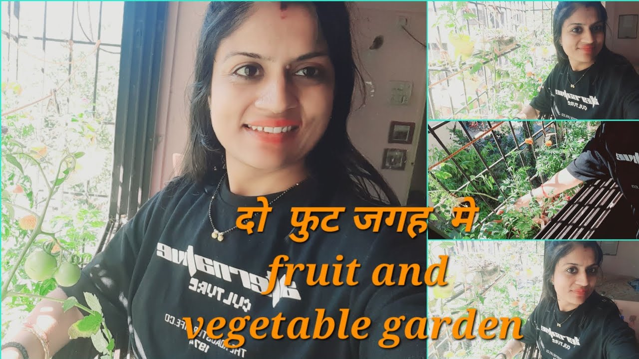 दो फीट जगह पर किचन garden #do it yourself #viralvideo #all about jyoti #new