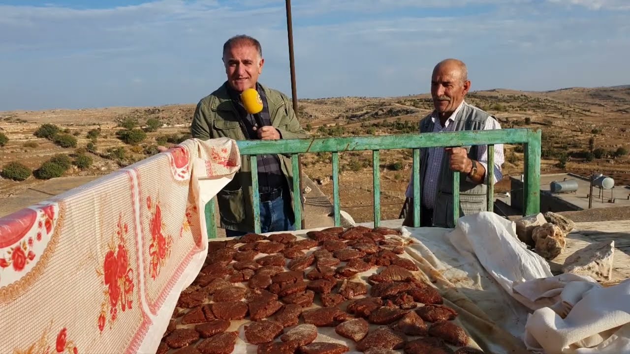 GUNDÊ MİDYAT'Ê BEHWARÊ BERNAMA ÇÊKIRINA DIMSÊ HELÎLÊ Û BASÎQÊ