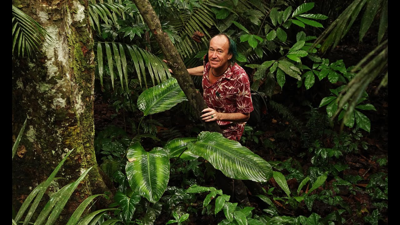 FIELD TRIP WITH PATRICK BLANC IN PERU - IQUITOS, THE HEART OF AMAZONIA