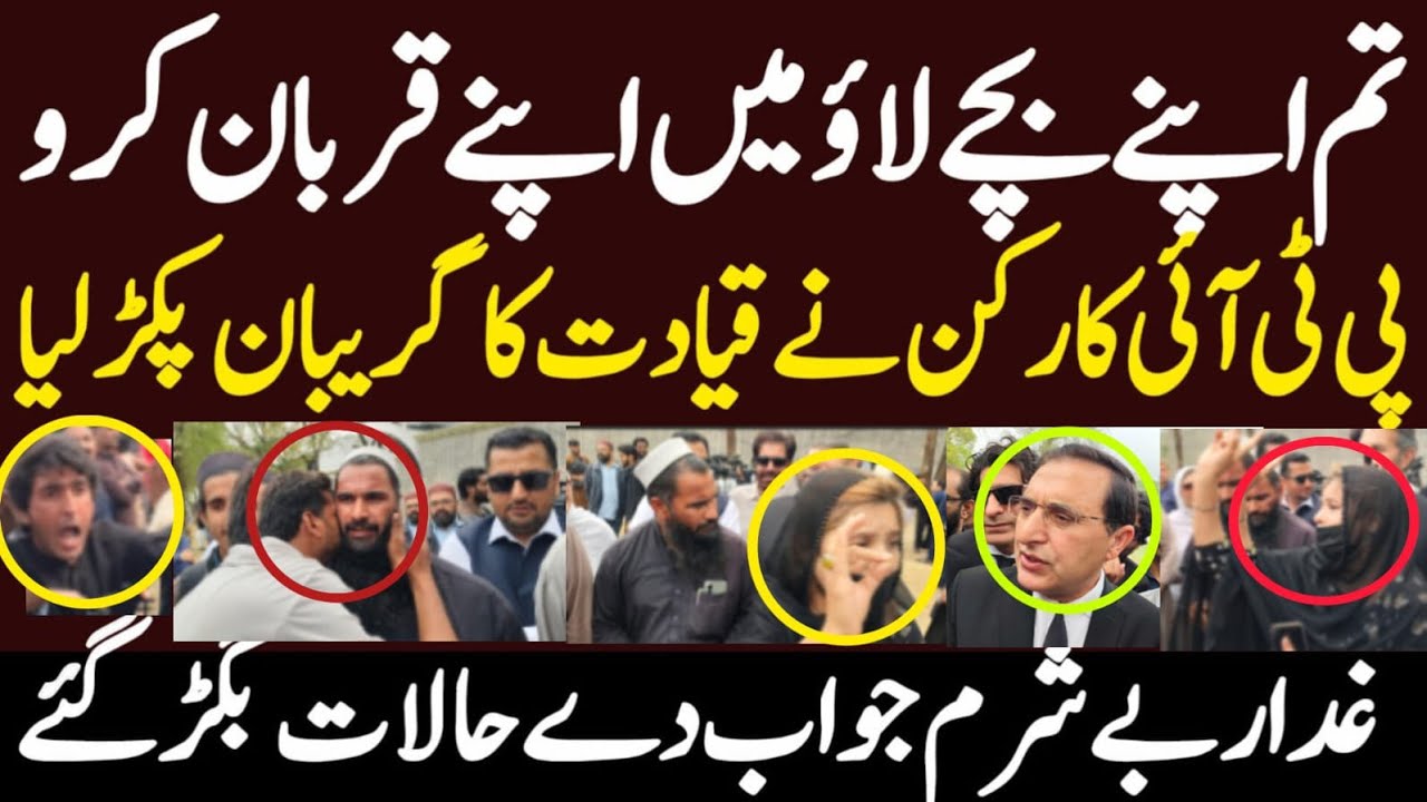 پی ٹی آئی قیادت کو کارکنان نے گریبان سے پکڑ لیا ہے شرم لوگو جواب دو  بیرسٹر گوہر علی محمد خان کی شام