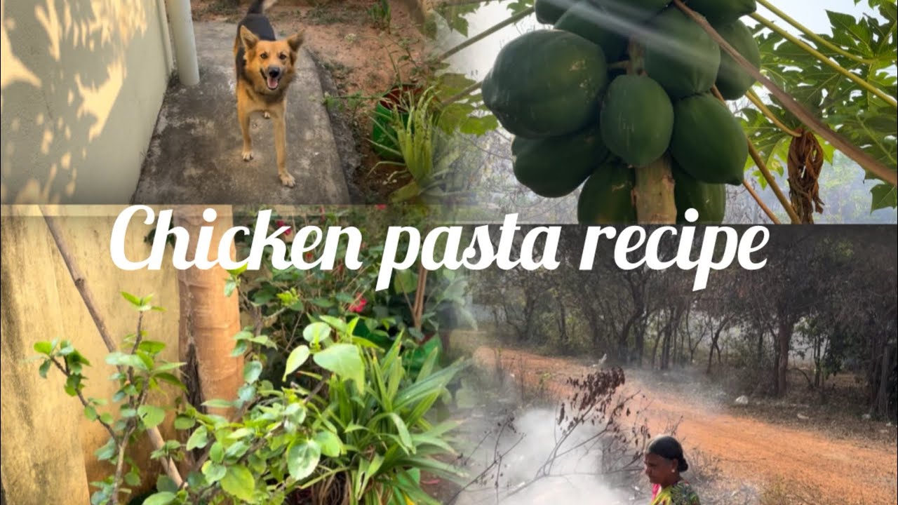 Chicken pasta cooker recipe | enga vettula pineapple nalla valanthuruku 🍍 