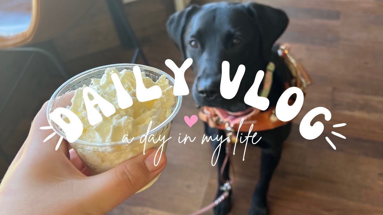 Service Dog + Coffee Shops | training vlog