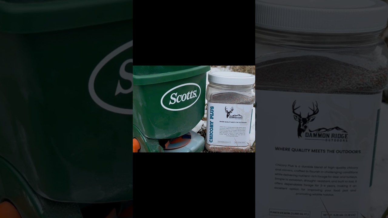 Frost Seeding with Dammon Ridge Outdoors Seed #frostseeding #whitetailfreakoutdoors #shorts
